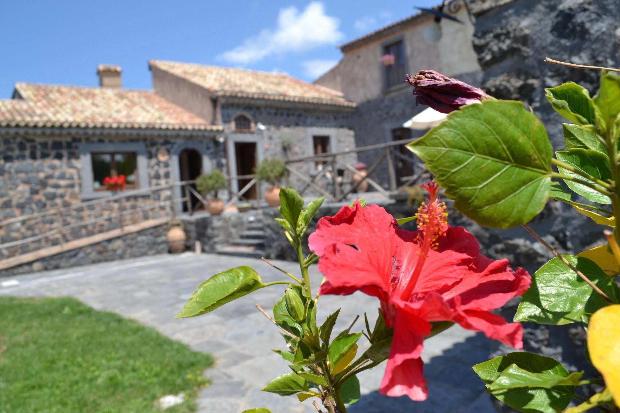Maison d'hôtes Bosco Ciancio à Biancavilla Extérieur photo